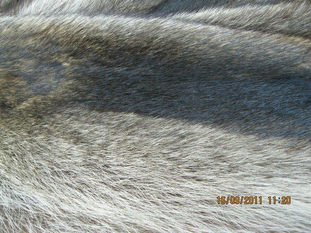 изделия из меха енота, шубы, куртки, пальто, жилеты, жакеты